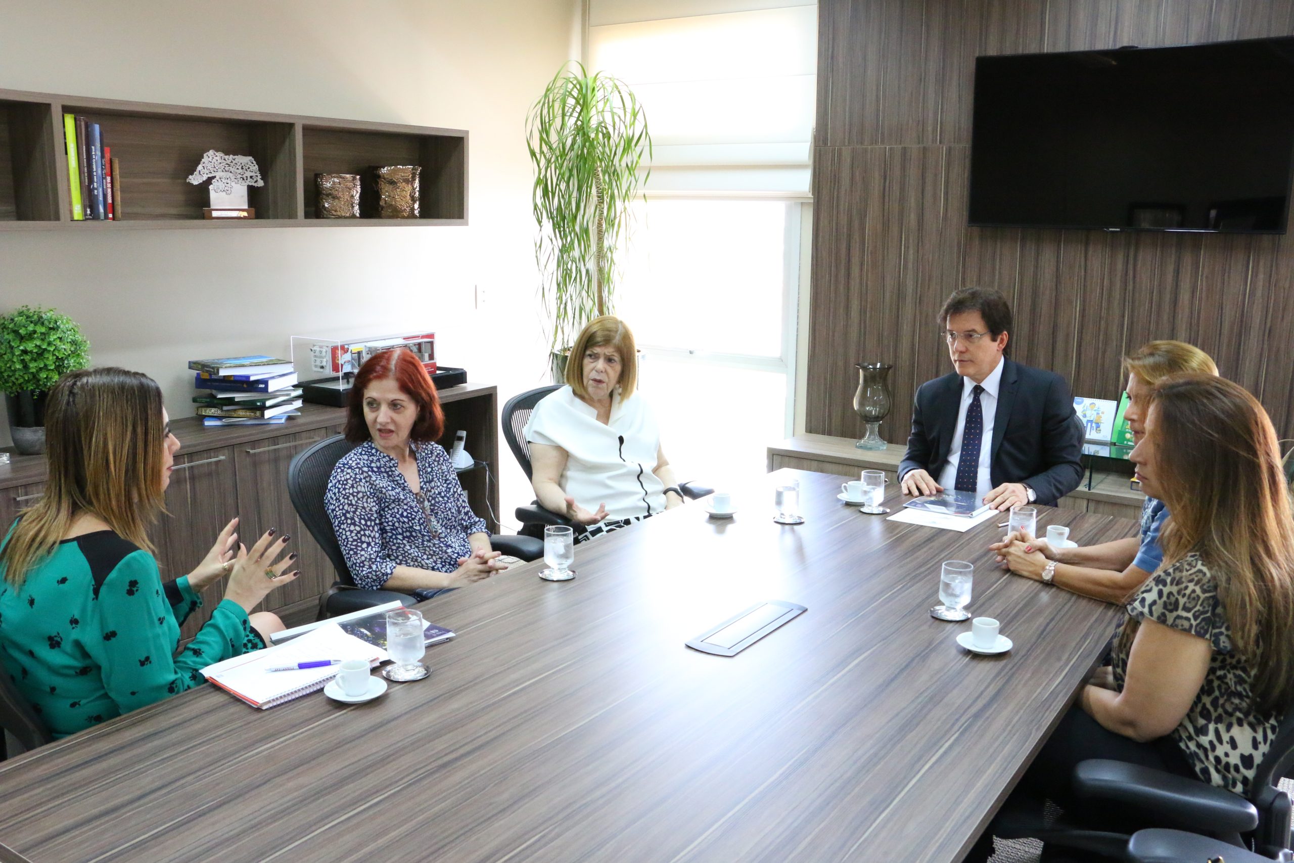 Governador Robinson Faria reúne-se com representantes da UNESCO_Demis Roussos (1)