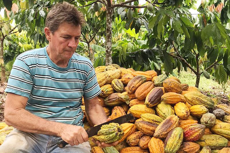 Agência Pará